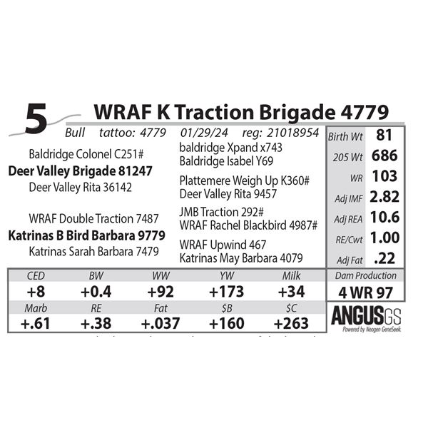 WRAF K Traction Brigade 4779