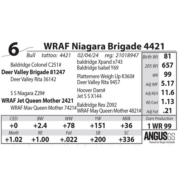 WRAF Niagara Brigade 4421