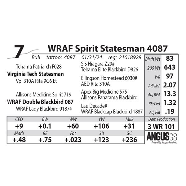 WRAF Spirit Statesman 4087
