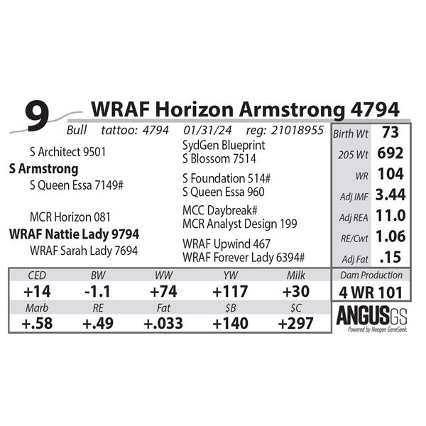 WRAF Horizon Armstrong 4794