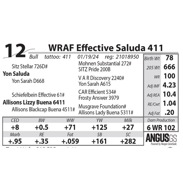WRAF Effective Saluda 411