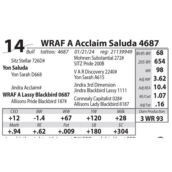 WRAF A Acclaim Saluda 4687