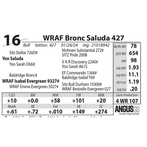 WRAF Bronc Saluda 427