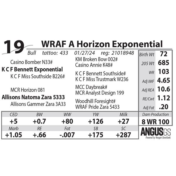 WRAF A Horizon Exponential