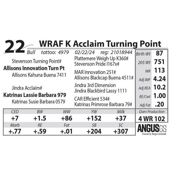WRAF K Acclaim Turning Point