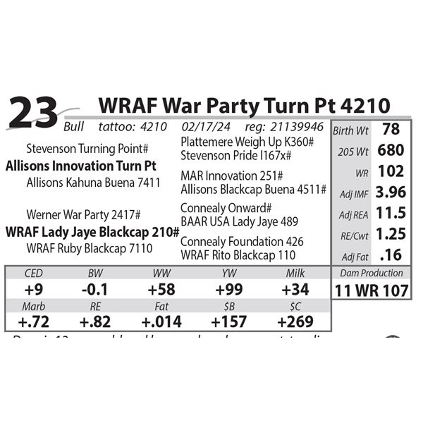 WRAF War Party Turn Pt 4210