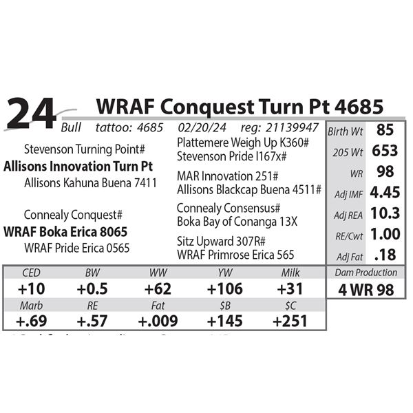 WRAF Conquest Turn Pt 4685