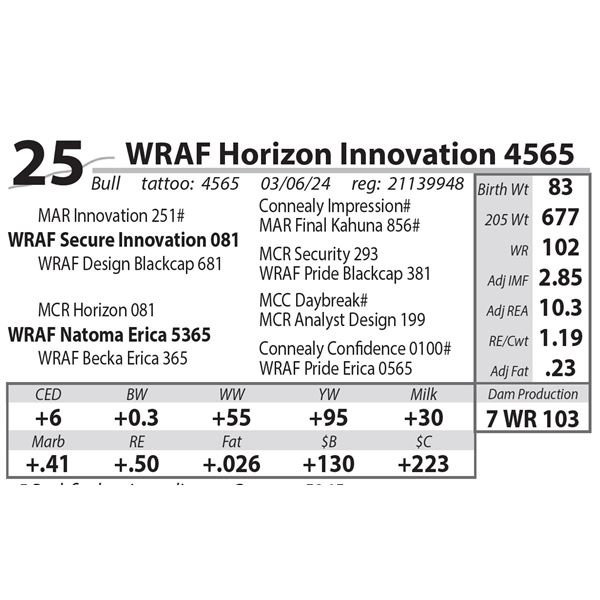 WRAF Horizon Innovation 4565
