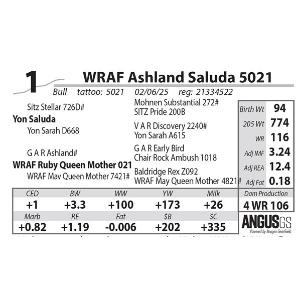 WRAF Ashland Saluda 5021