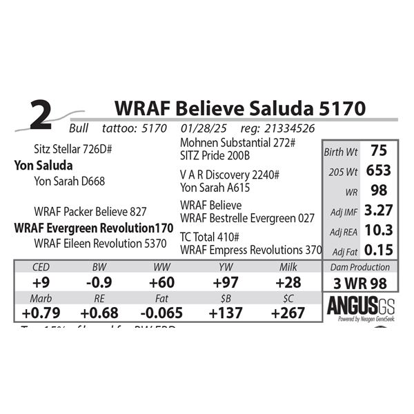 WRAF Believe Saluda 5170