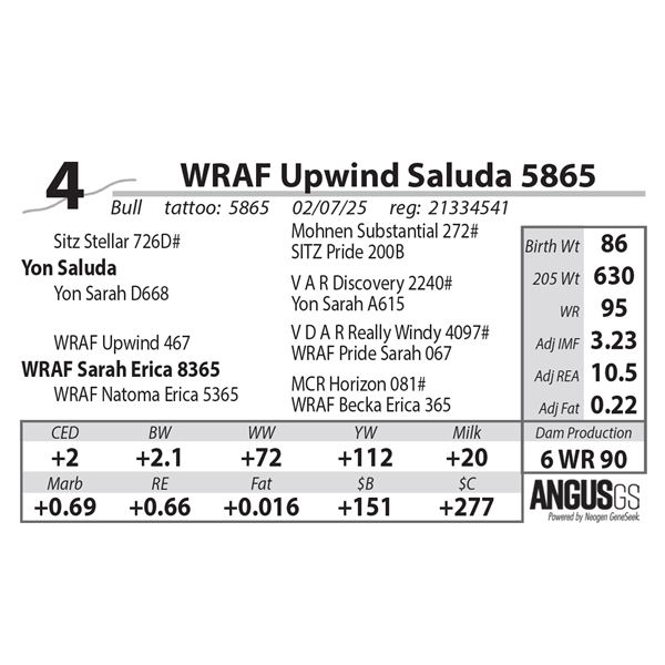 WRAF Upwind Saluda 5865