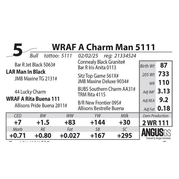 WRAF A Charm Man 5111