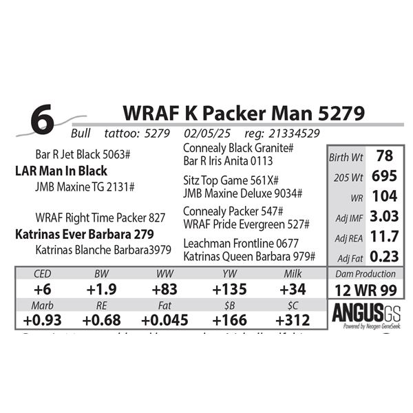 WRAF K Packer Man 5279