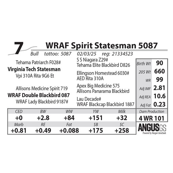 WRAF Spirit Statesman 5087