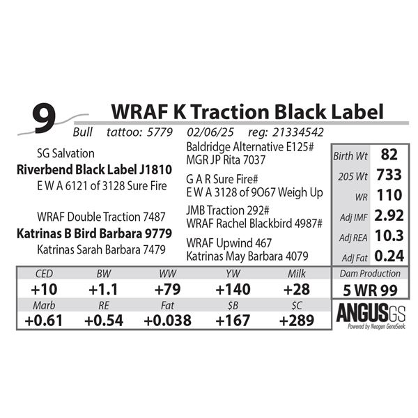WRAF K Traction Black Label