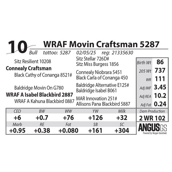 WRAF Movin Craftsman 5287