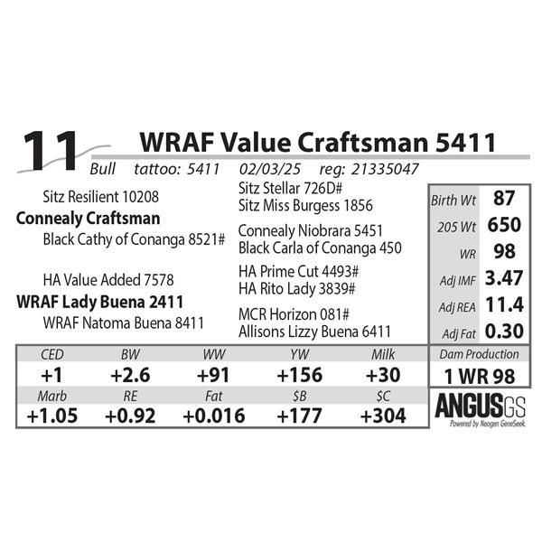 WRAF Value Craftsman 5411