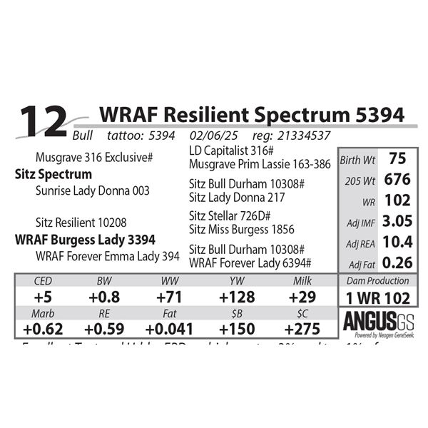 WRAF Resilient Spectrum 5394