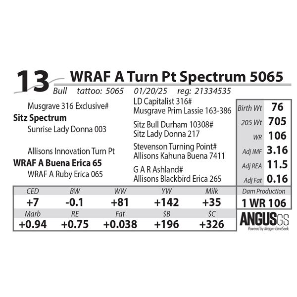 WRAF A Turn Pt Spectrum 5065
