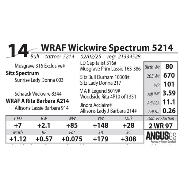 WRAF Wickwire Spectrum 5214