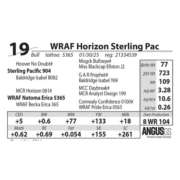 WRAF Horizon Sterling Pac