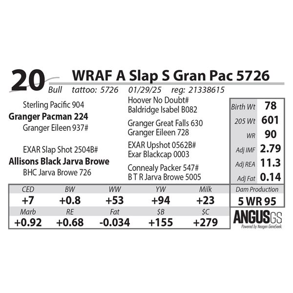 WRAF A Slap S Gran Pac 5726