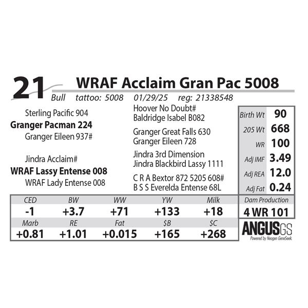 WRAF Acclaim Gran Pac 5008