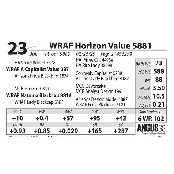 WRAF Horizon Value 5881