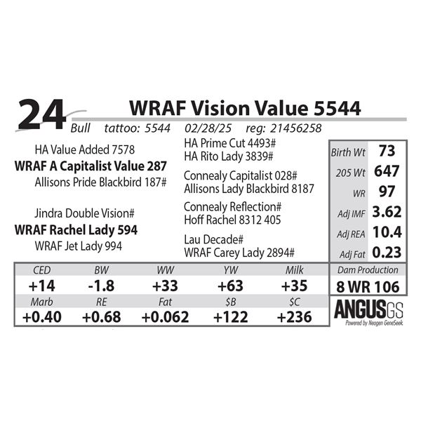 WRAF Vision Value 5544