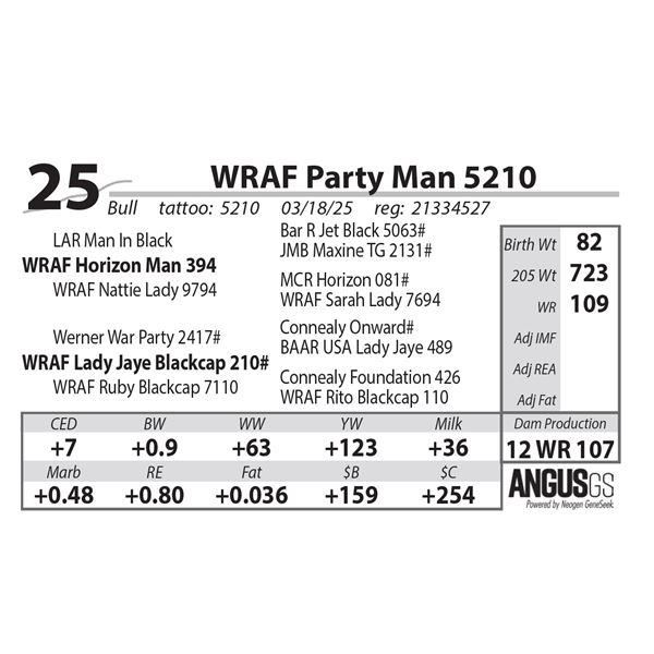 WRAF Party Man 5210