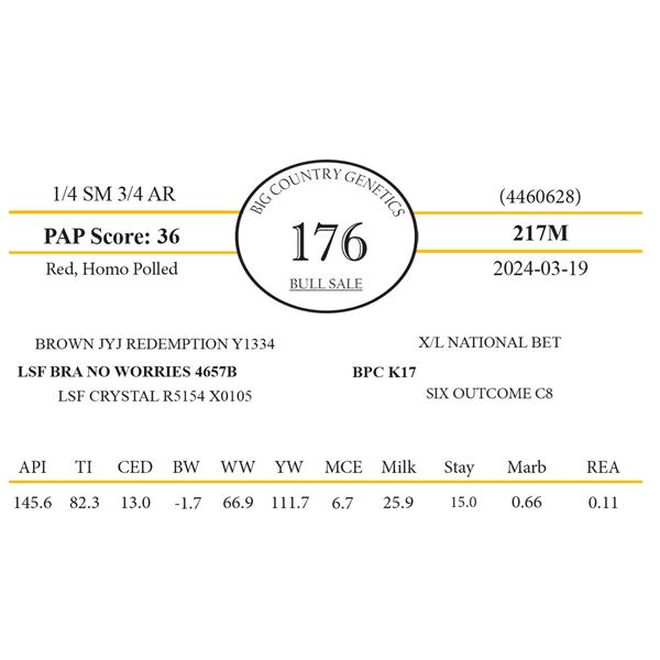 217M