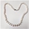 BZ1582-27 SILVER FRESH WATER PEARL 16" NECKLACE