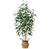 Image 1 : NEW FERRGOAL ARTIFICIAL EUCALYPTUS TREE IN POT