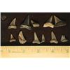 Image 1 : 11 SHARKS TEETH (ISURUS HASTALIS) MIOCENE ERA