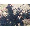 Image 1 : John Deere or Oliver?? 2 Wheel Swath Turner -Very Early Model