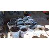 Image 1 : Pallet Lot of : Bolts, Electrical Boxes, Connectors, Fittings