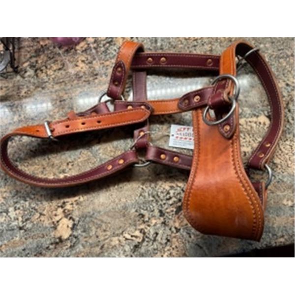 Leather Halter