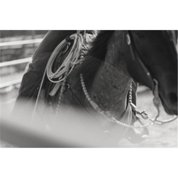 30 days horse training