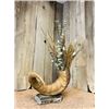 Image 1 : Custom sheep horn base