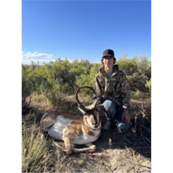 Three day trophy pronghorn antelope hunt