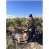 Image 1 : Three day trophy pronghorn antelope hunt