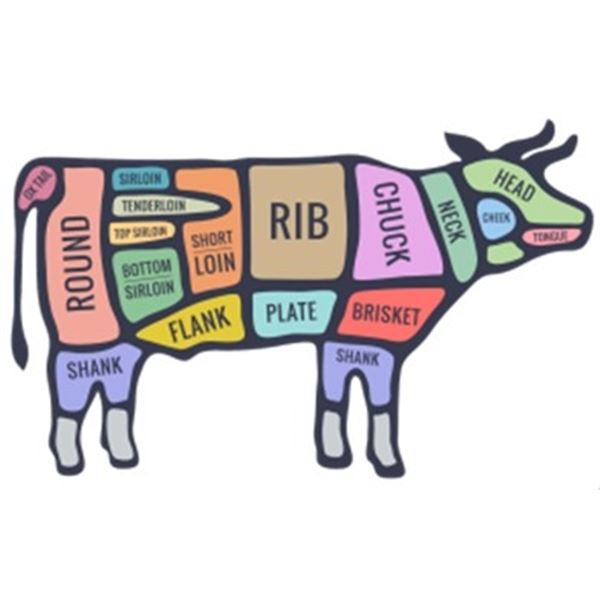 Live Steer   ****Buyer responsible for butchering***