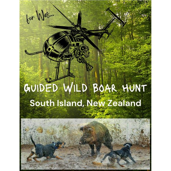 South Island, New Zealand  boar hunt