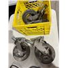 Image 1 : Castors
