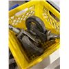 Image 2 : Castors