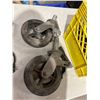 Image 3 : Castors