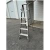 Image 1 : 6'Ladder