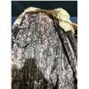 Image 5 : Ladies Vintage 3/4 Length American Fur Limited Coat, looks like muskrat fur, size small/medium
