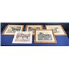 Image 1 : Four Framed Photographs of Work Horses plus One Unframed 14Wx8H