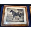 Image 2 : Four Framed Photographs of Work Horses plus One Unframed 14Wx8H